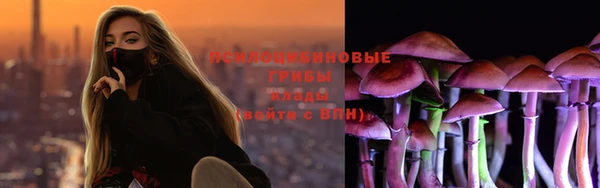 мескалин Покачи