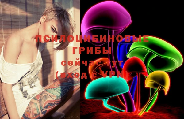 стафф Кирс