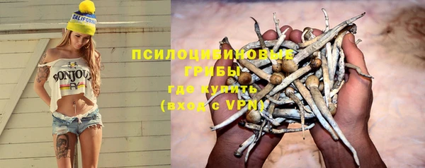стафф Кирс